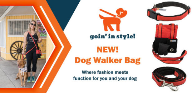 christmas present for dog walker