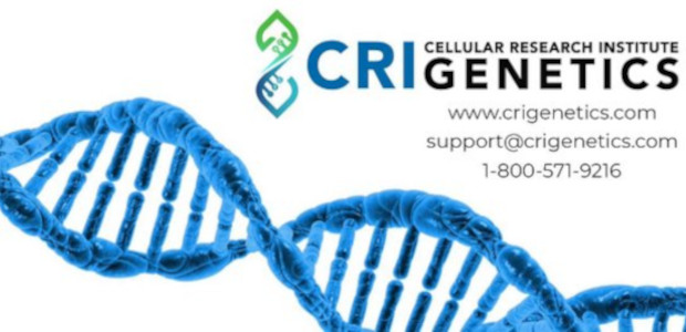 Know someone who is interested in an ancestry report or health report from DNA: Could this inspire them or even save their life? www.crigenetics.com Cellular Research Institute Genetics Provide A […]