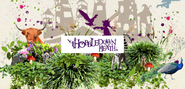 An extraordinary Christmas gift This Christmas choose a truly exclusive and exciting experience for your loved one – the Founders’ Pass for Hobbledown Heath – granting access to London’s biggest […]