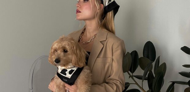 Dogily Luxe Scarves… the pet owner matching accessory brand… dogily.com Dogily are essentially Luxe Scarves Dogily are the world’s first pet owner matching accessory brand that offers exquisite jewelry, scarves, […]